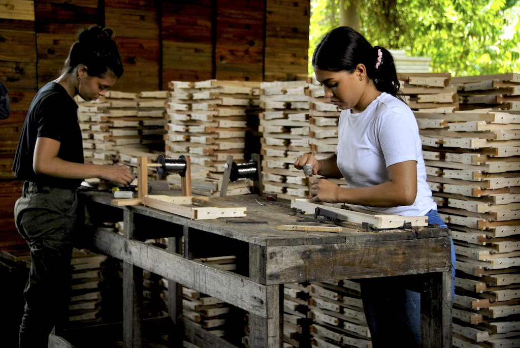 aprovechacmiento madera